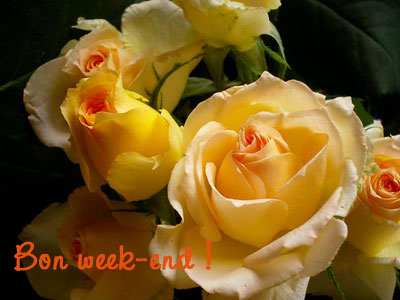 bon week-end à tous !!